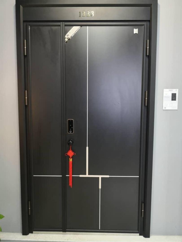 Main Entrance Steel Door 