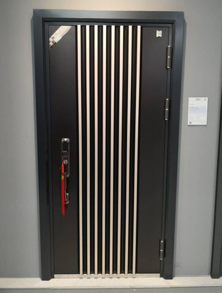Modern Steel Security Door robust Steel construction design for enhanced security and durability 